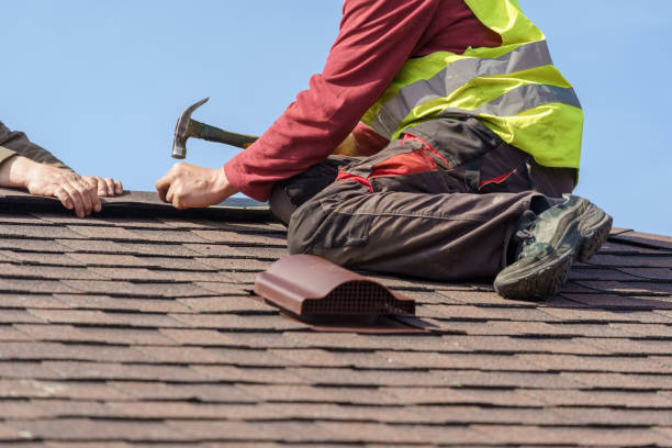 Best Roof Leak Repair  in Haskins, OH