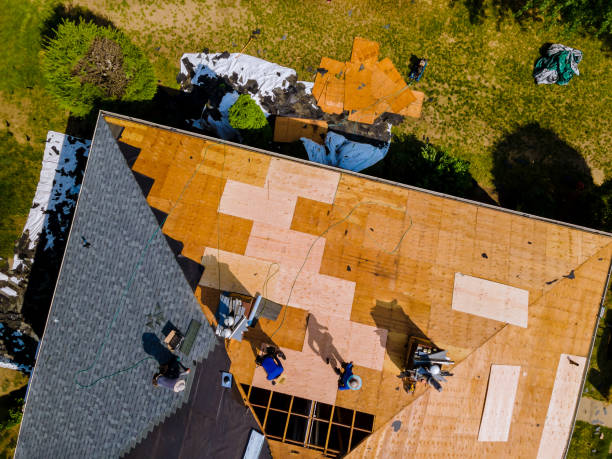 Best Flat Roof Repair Services  in Haskins, OH