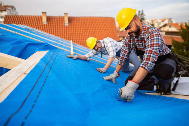 Best Emergency Roof Repair  in Haskins, OH